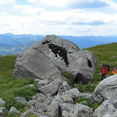 Il Bosco Daire *