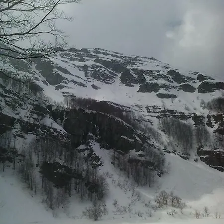 Il Bosco Daire *