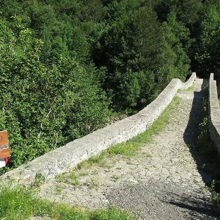 Daire Il Bosco *
