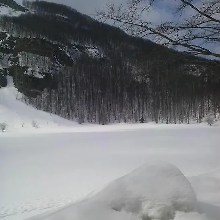 Il Bosco Pievepelago