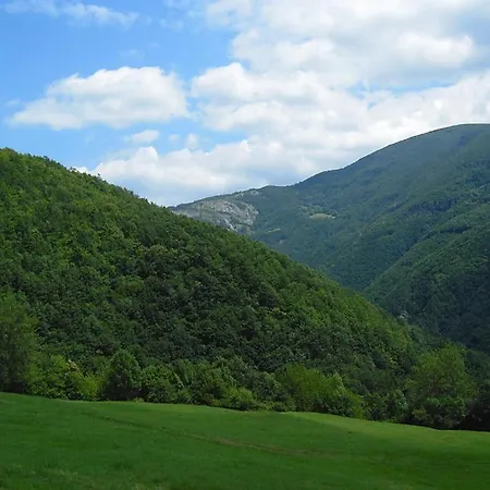 Il Bosco