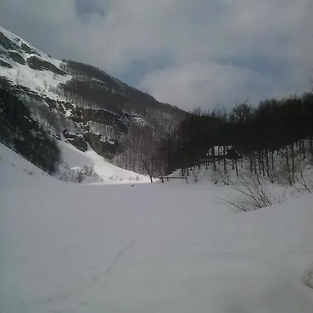 Il Bosco Apartment Pievepelago