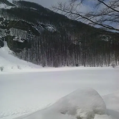 Il Bosco Pievepelago