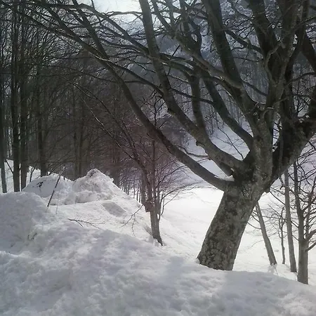 Il Bosco * Pievepelago
