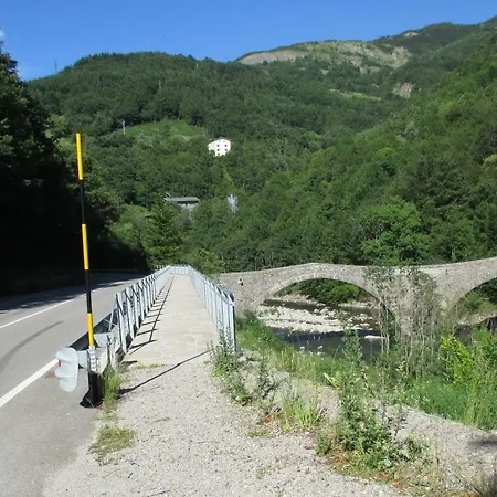 Il Bosco *