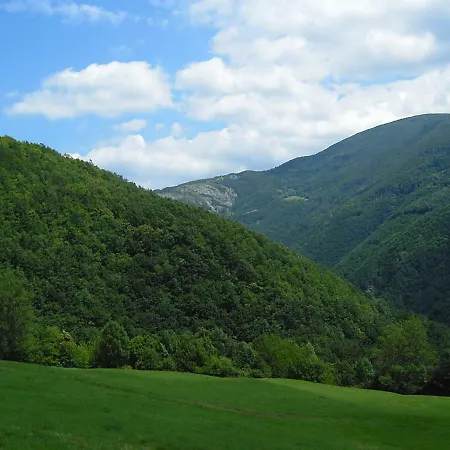 Il Bosco *